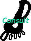Consultlink